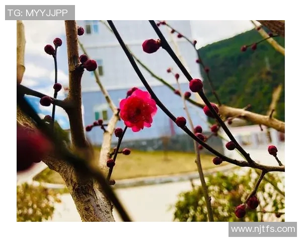 东京卓越与东京五梦的巅峰对决谁将成为未来的城市传奇